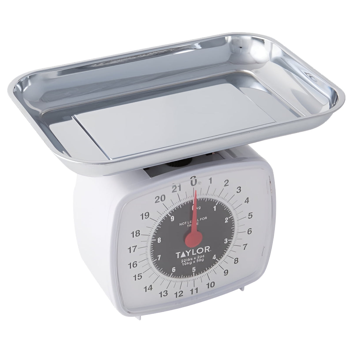 Taylor 3880 white analog kitchen scale with stainless steel tray, angled view of the dial