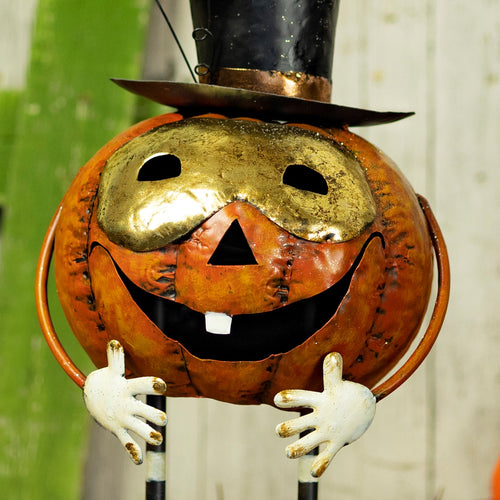 Prospero Masked Pumpkin product photo 2