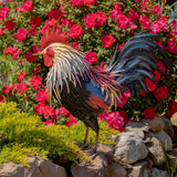 Painted iron rooster Chester detail 1