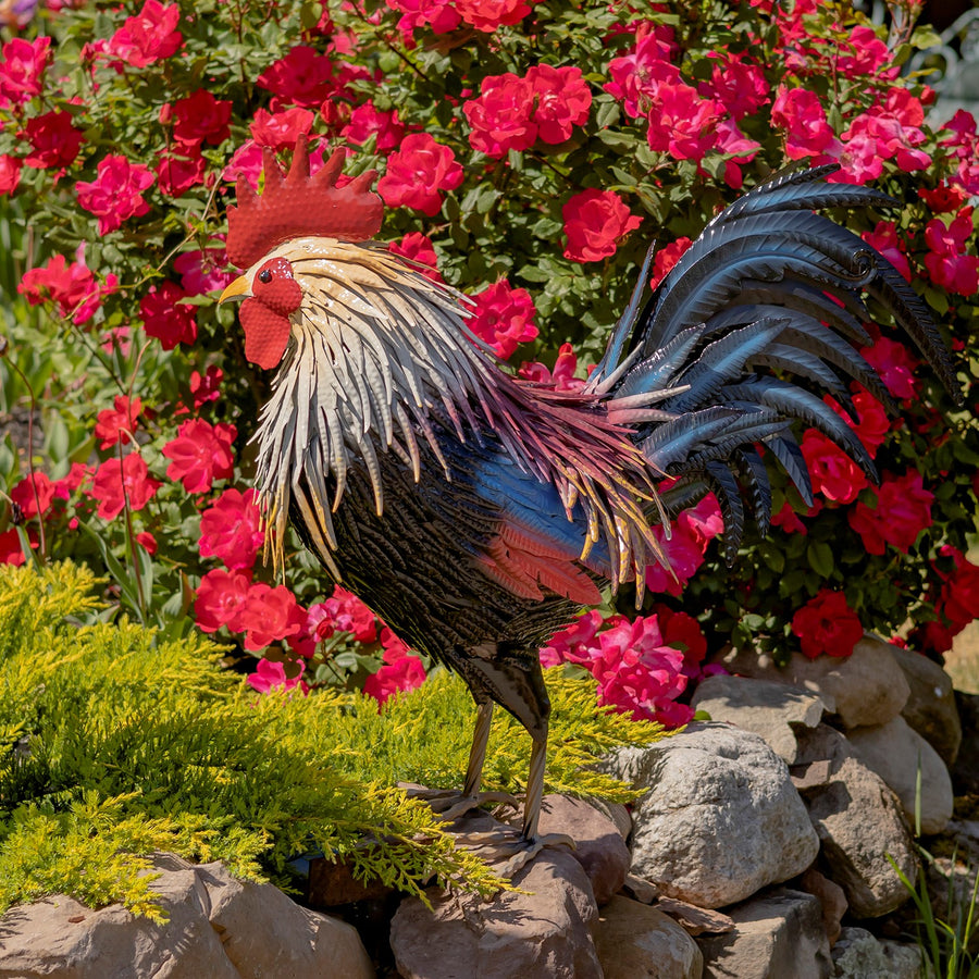 Painted iron rooster Chester detail 1