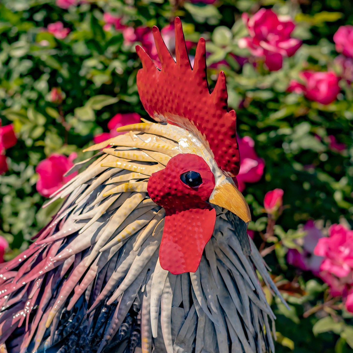 Painted iron rooster Chester detail 2