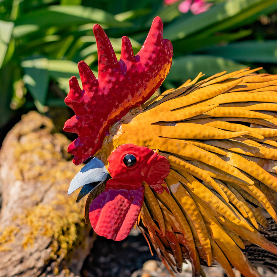 Painted iron rooster Maxwell product photo 3