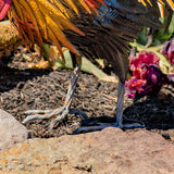 Painted iron rooster Maxwell product photo 5